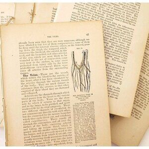 1893 Cottage Physician Victorian Ephemera Lot Of 300 Pcs Medical 1st Aid LGDWB3